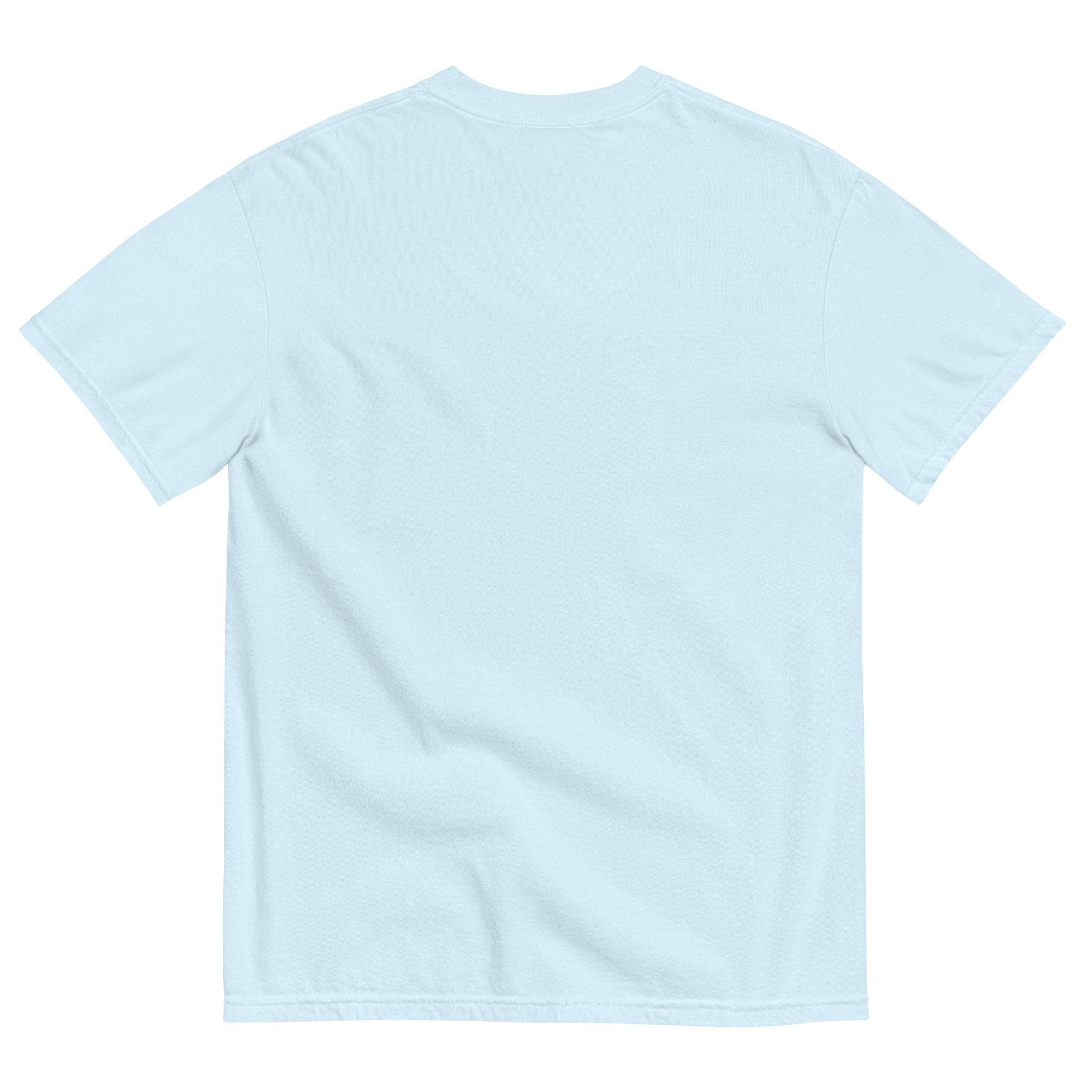 Replaceable Everywhere - Comfort Colors - Chambray - Image 2
